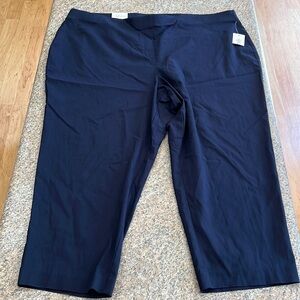 Style and Co. capris size 24